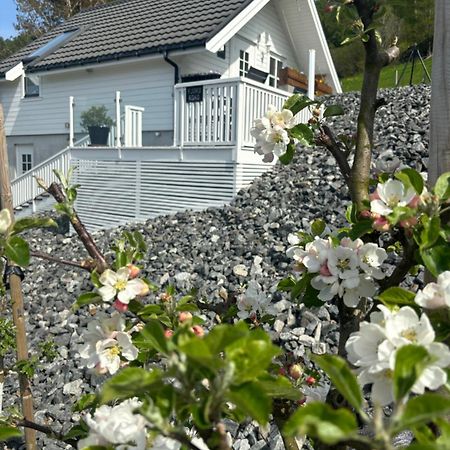 Fjord Road Apartment Hjelmeland Ngoại thất bức ảnh